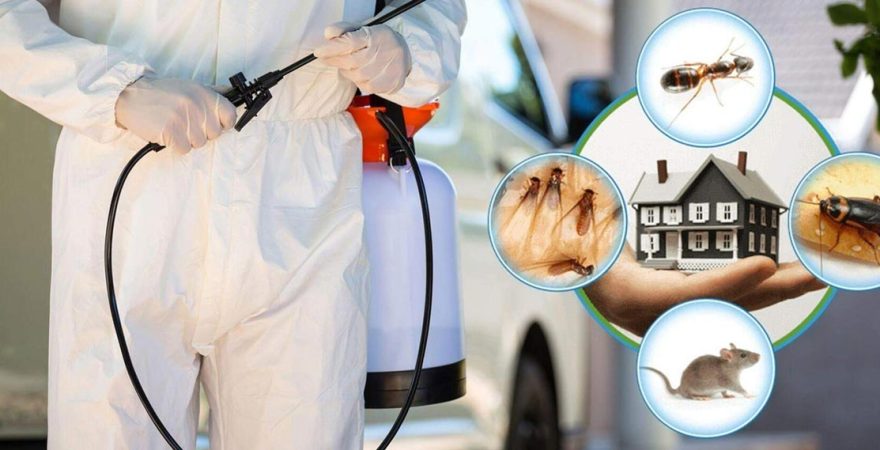 Aşkale Böcek İlaçlama