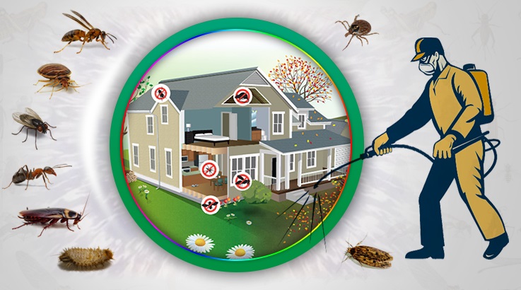 Aşkale Böcek İlaçlama