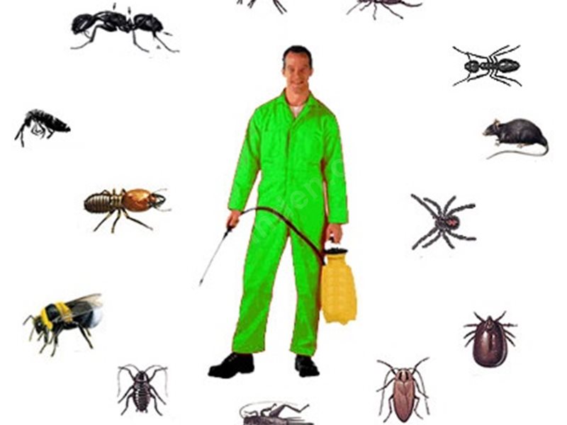 Aşkale Böcek İlaçlama